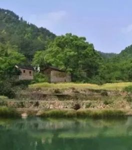 張家沖自然村 張家沖自然村