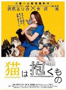 貓是要抱著的 貓是要抱著的