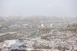 柳林村[山西省呂梁市興縣蔡家會鎮下轄村]