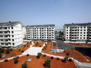 白蓮岙村 白蓮岙村