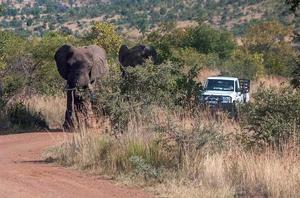 比林斯堡野生動物園 比林斯堡野生動物園