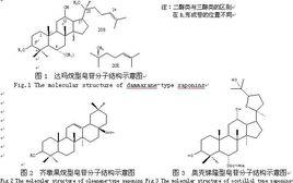 化學修飾[化工術語]