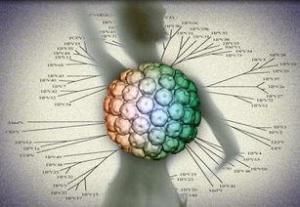 人類乳頭瘤病毒