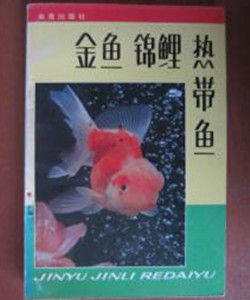 金魚錦鯉熱帶魚 金魚錦鯉熱帶魚