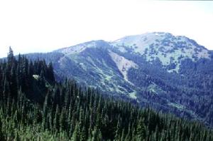 神農架自然保護區