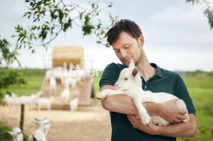 佳貝艾特最新牧場圖拍攝