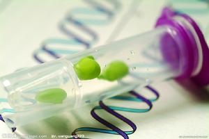 試管植物 試管植物