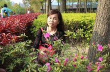 張偉英[上海長海醫院護理部副主任護師]