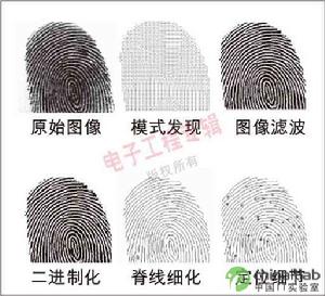 指紋識別系統 指紋識別系統