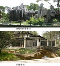 廣州動物園