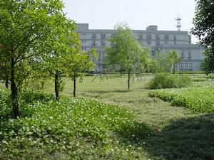 紹興托普信息職業技術學院