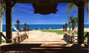 南茜朱爾:七船之贖 南茜朱爾:七船之贖