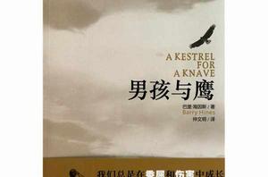 男孩與鷹 男孩與鷹