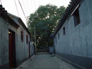 國英胡同 國英胡同