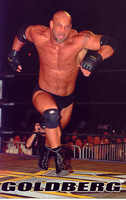 Bill Goldberg