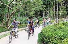 萬寧興隆綠道示範段觀光騎行