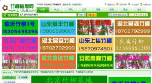 竹柳信息網 竹柳信息網