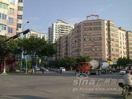 花都小城之春 花都小城之春