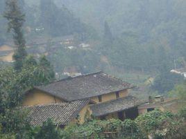 下龍樹自然村 下龍樹自然村