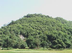 （圖）者臘鄉生態林 