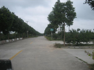 浦東和悅基地 浦東和悅基地