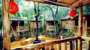 九州森林管理局 九州森林管理局