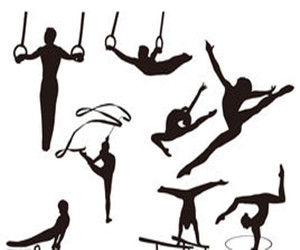 競技體操 競技體操