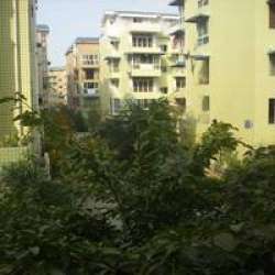 龍泉陽光城紫竹苑 龍泉陽光城紫竹苑