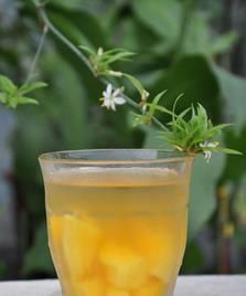 熱帶風情冰茶 熱帶風情冰茶