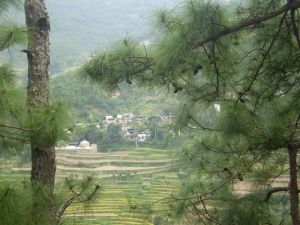 石臘它自然村 石臘它自然村