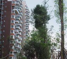 金&middot;上城實景圖