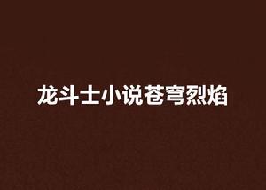 龍鬥士小說蒼穹烈焰