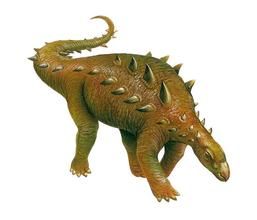 結節龍類群 結節龍類群