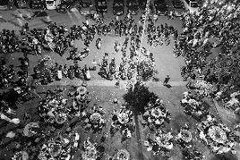 廣西玉林的狗肉事件 廣西玉林的狗肉事件