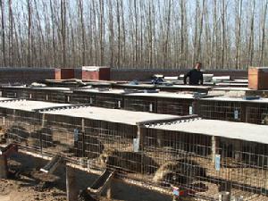 台安縣洪家農牧場 台安縣洪家農牧場