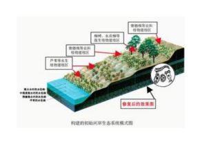 原始生態系統 原始生態系統