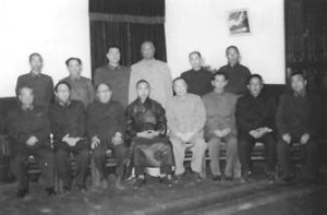 西藏自治區籌備委員會 西藏自治區籌備委員會