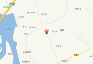 馬壠村[湖南省岳陽市臨湘市乘風鄉馬壠村]