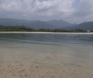 獅子山河 獅子山河