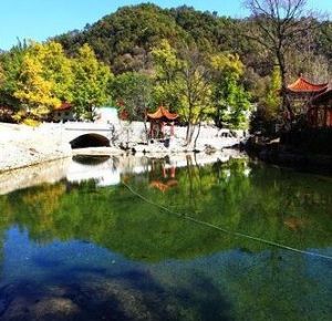 西峽銀樹溝生態旅遊區 西峽銀樹溝生態旅遊區