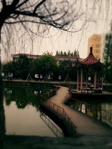 安徽省合肥市長豐一中 安徽省合肥市長豐一中