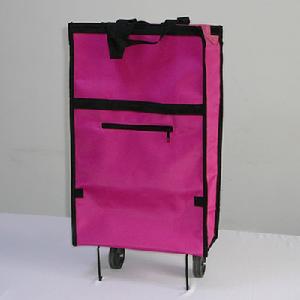 （圖）環保購物袋