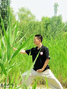 陳氏太極拳新架一路 陳氏太極拳新架一路