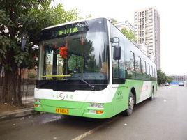 福州公交111路 福州公交111路