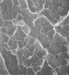 食品的玻璃態 食品的玻璃態