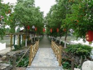 巨龍湖生態山莊 巨龍湖生態山莊