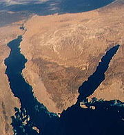 西奈半島，東邊的是亞喀巴灣，西邊的是蘇伊士灣，太空梭STS-40拍攝。