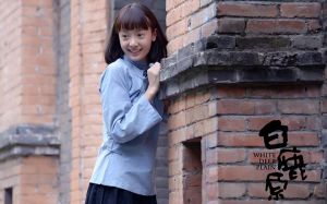 《白鹿原》劇照