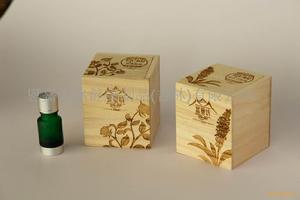 《中醫基礎理論》