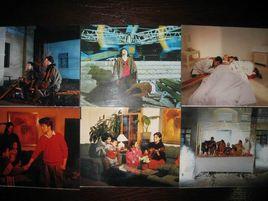 西屯的兒子 西屯的兒子